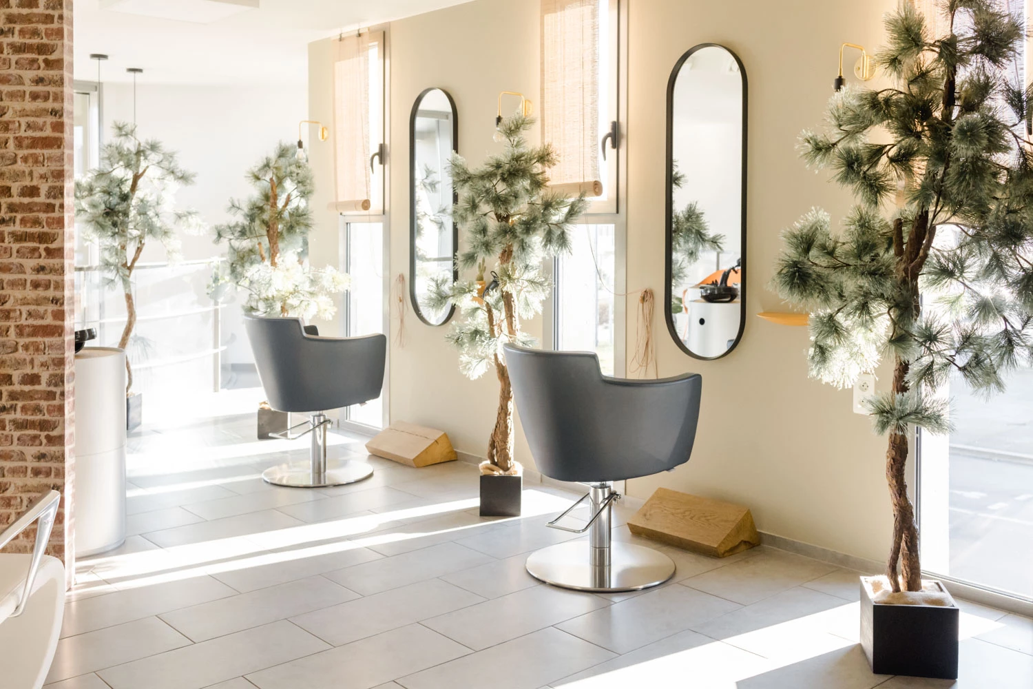 meubles chaise miroir plante d'intérieur luminaire